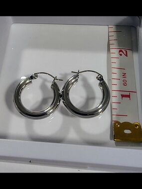 Simple Elegant Hypoallergenic Huggy Hoop Earrings